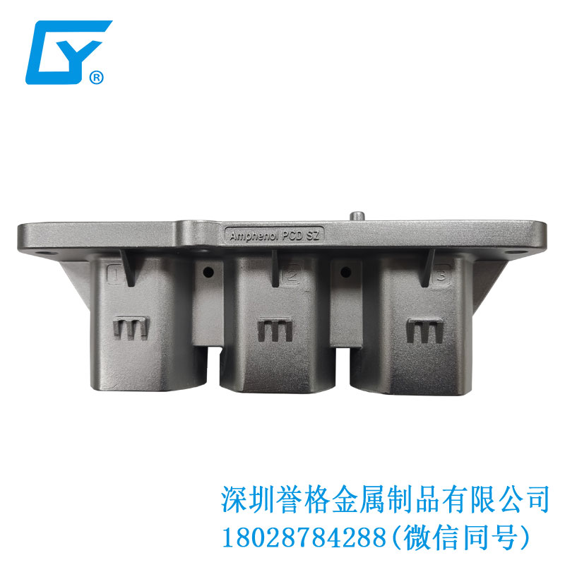龍崗鑄造，細(xì)節(jié)成就卓越品質(zhì)！